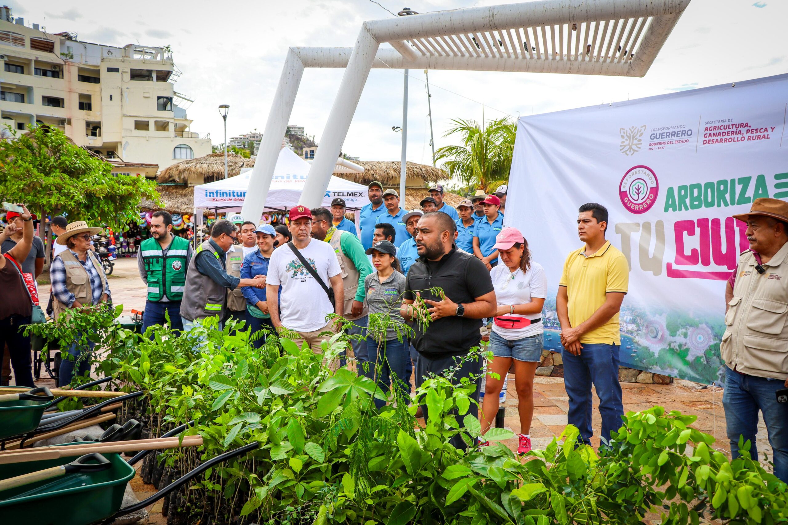 Siembran Más De Mil árboles En Un Tramo De 1 7 Km En Acapulco Enterado Mx Enterado Guerrero